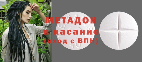 прущие грибы Абаза
