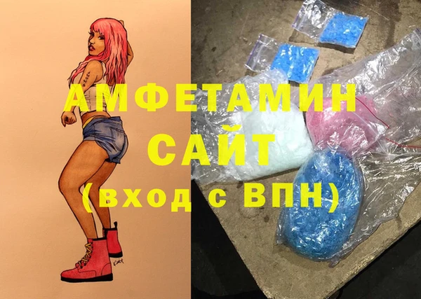 прущие грибы Абаза