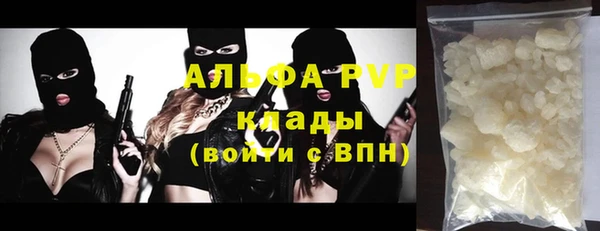 прущие грибы Абаза