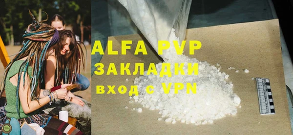 прущие грибы Абаза