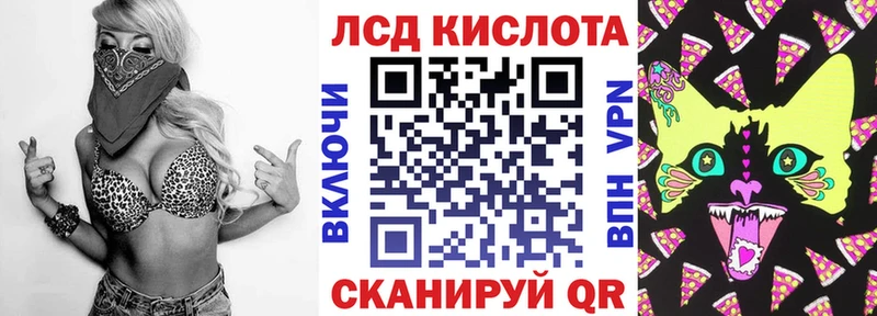 Марки N-bome 1500мкг  где продают наркотики  Кизляр 
