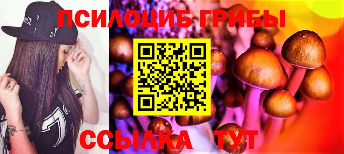 Псилоцибиновые грибы Psilocybine cubensis  Вход с VPN  Кизляр  Галлюциногенные грибы прущие грибы 